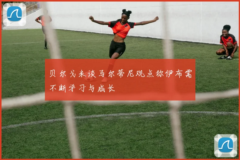 贝尔戈米谈马尔蒂尼观点称伊布需不断学习与成长